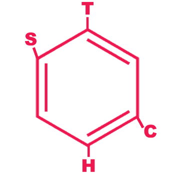 STHC Red Benzene Ring Logo